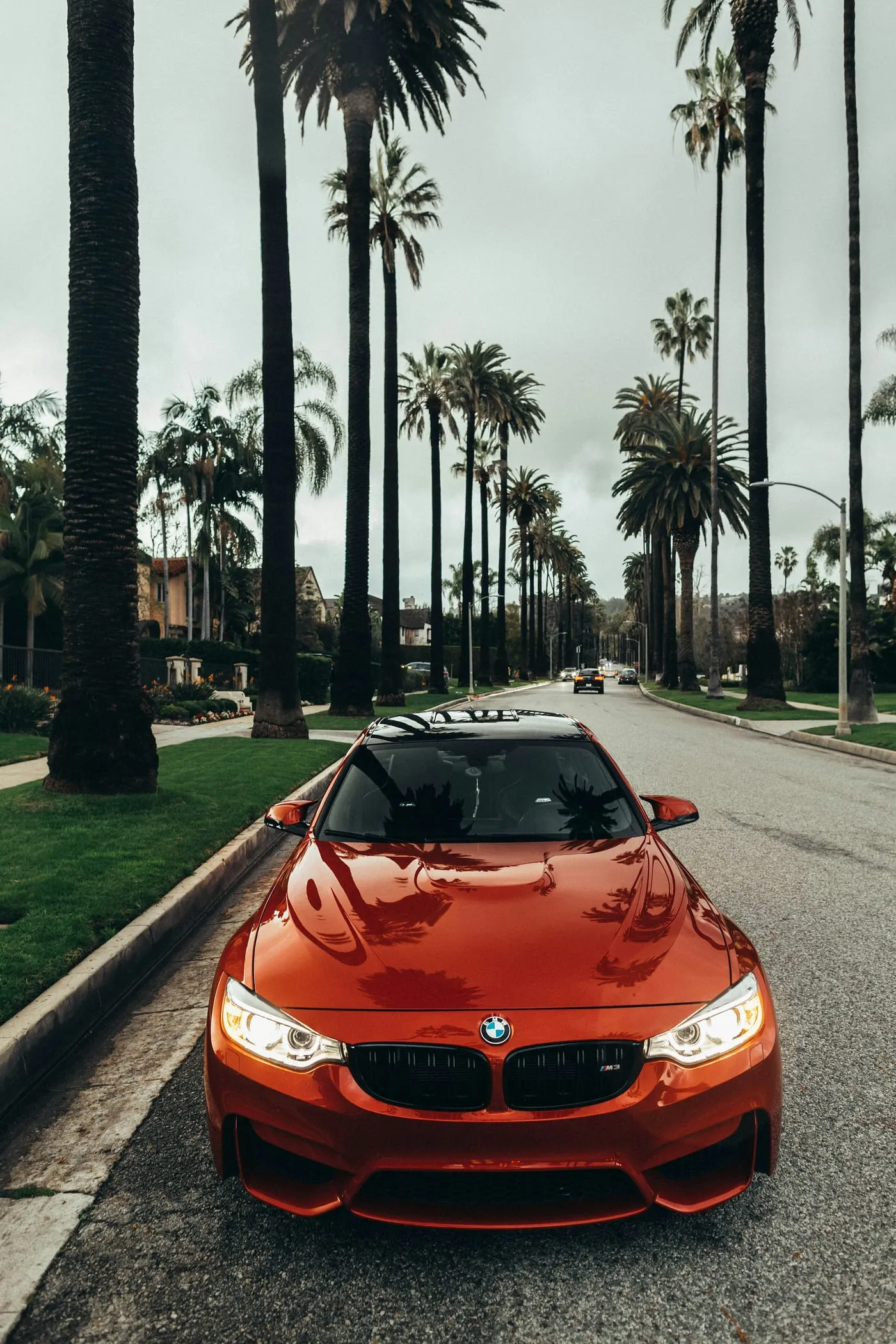 Roter BMW auf einer Palmenallee